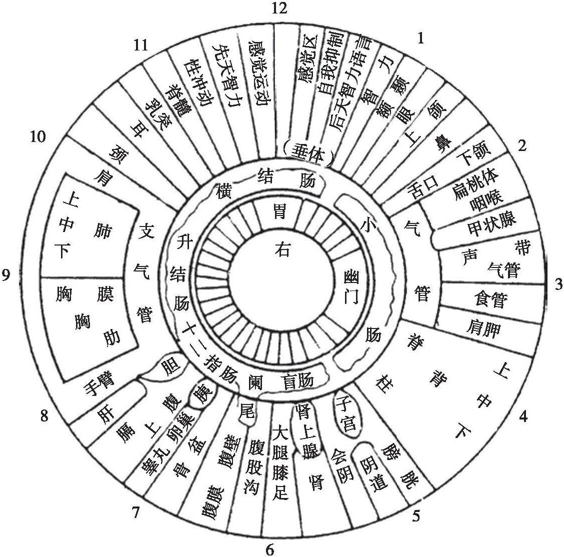 【附】虹膜诊断法